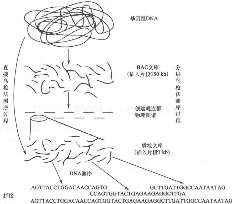 全基因组测序的一般流程