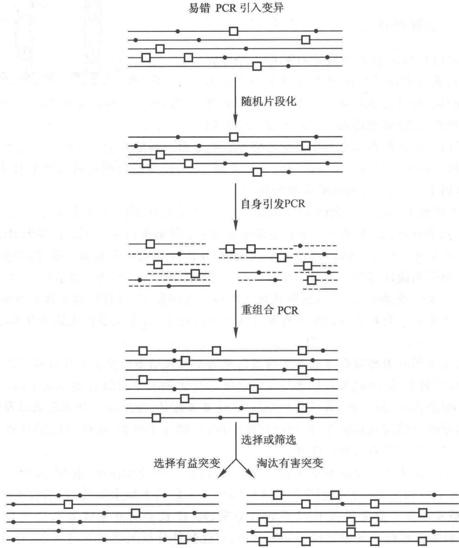 DNA混编