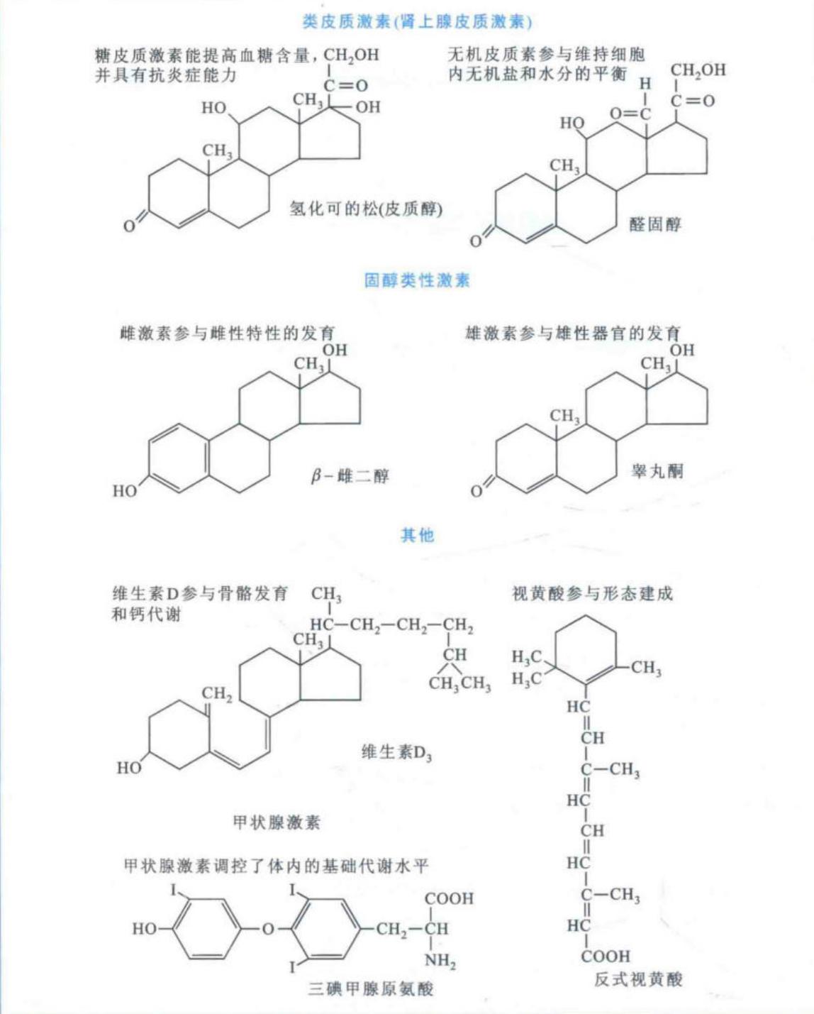 几种常见疏水性小分子激素