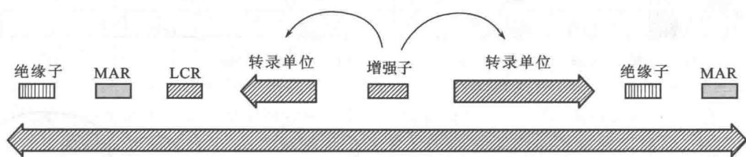 染色质结构域的作用位点