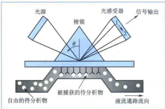 表面等离子共振技术示意图