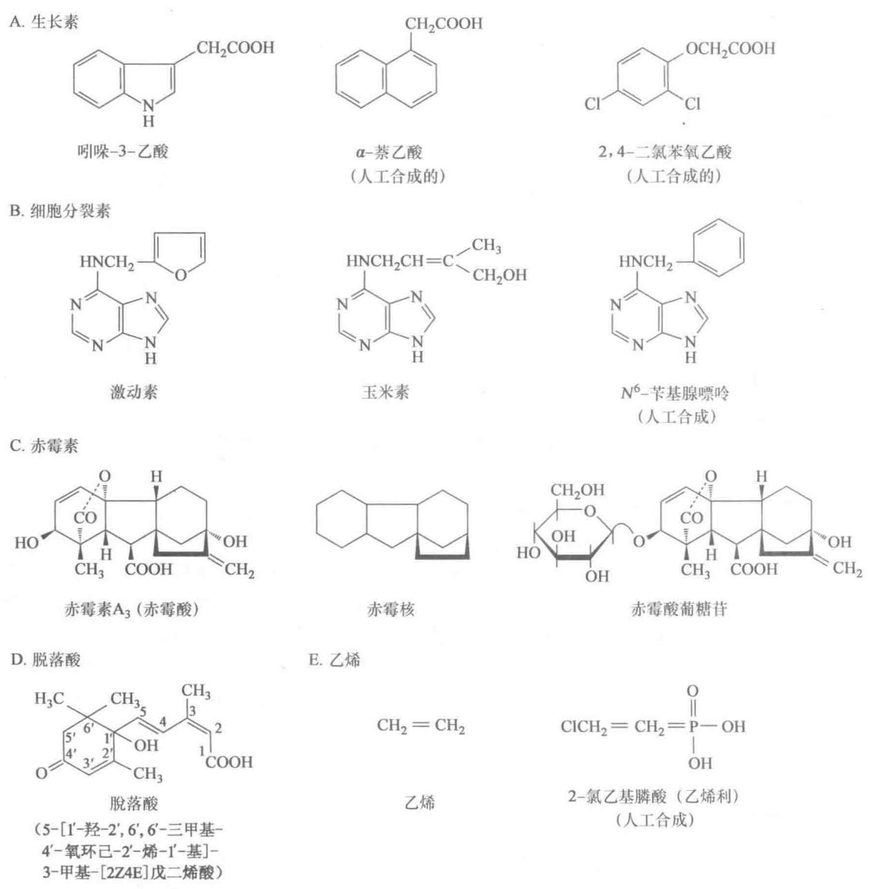 几种植物激素的化学结构